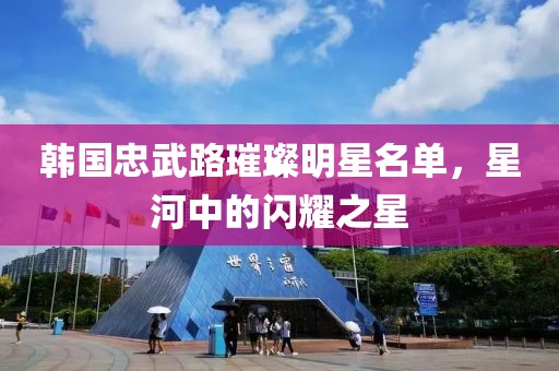 韩国忠武路璀璨明星名单，星河中的闪耀之星