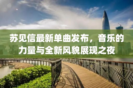 苏见信最新单曲发布，音乐的力量与全新风貌展现之夜