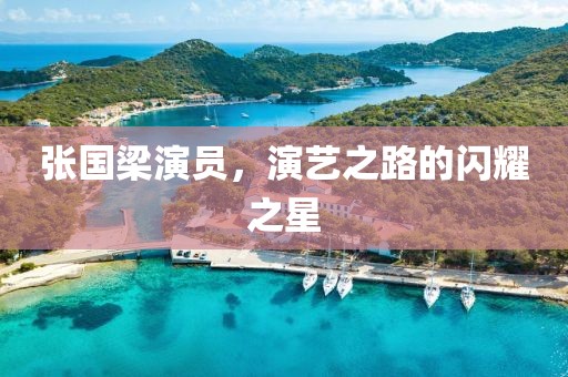 张国梁演员，演艺之路的闪耀之星