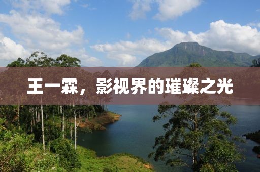 王一霖，影视界的璀璨之光