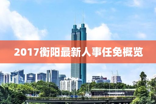 2017衡阳最新人事任免概览