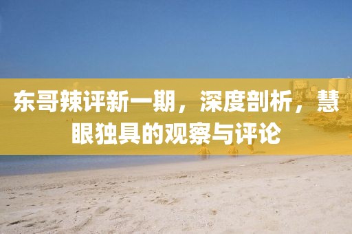 东哥辣评新一期，深度剖析，慧眼独具的观察与评论