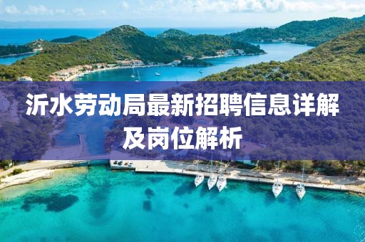 沂水劳动局最新招聘信息详解及岗位解析