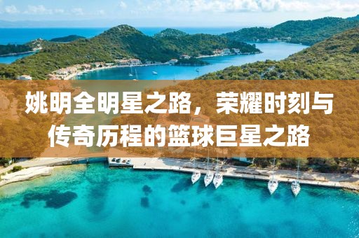 姚明全明星之路，荣耀时刻与传奇历程的篮球巨星之路