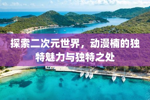 探索二次元世界，动漫楠的独特魅力与独特之处