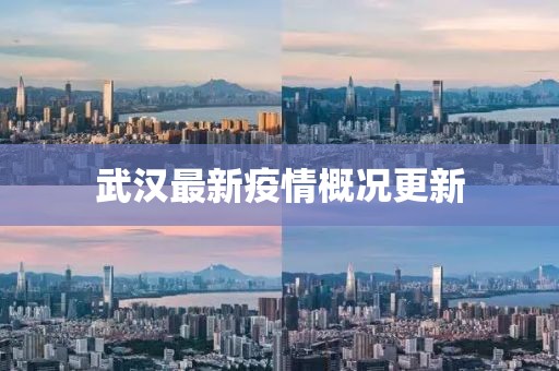 武汉最新疫情概况更新