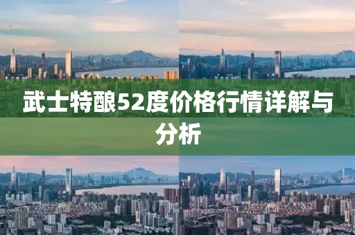 武士特酿52度价格行情详解与分析