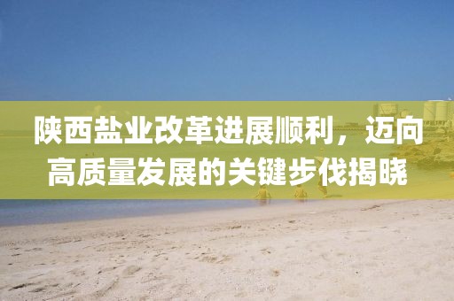 陕西盐业改革进展顺利，迈向高质量发展的关键步伐揭晓