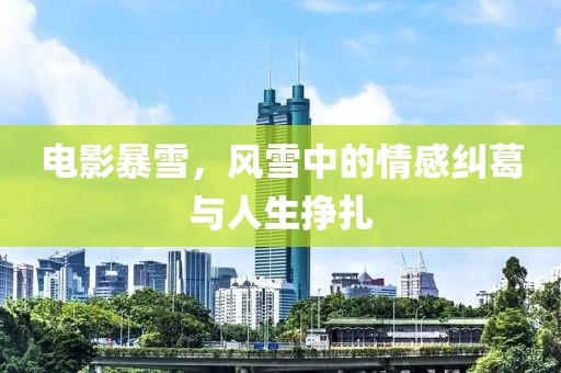 电影暴雪，风雪中的情感纠葛与人生挣扎