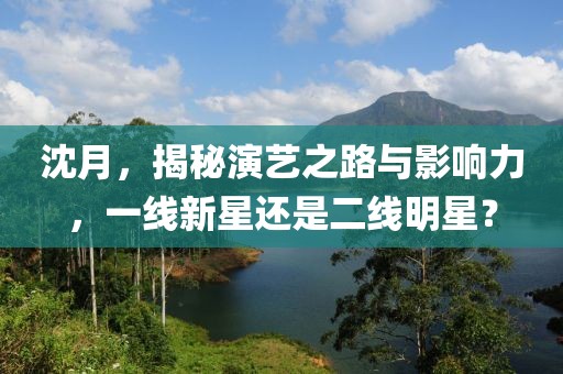 沈月，揭秘演艺之路与影响力，一线新星还是二线明星？