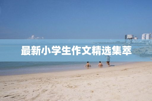 最新小学生作文精选集萃