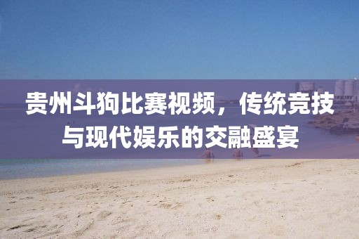 贵州斗狗比赛视频，传统竞技与现代娱乐的交融盛宴