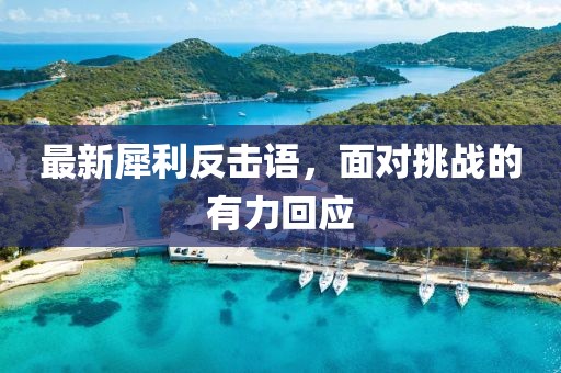 最新犀利反击语，面对挑战的有力回应