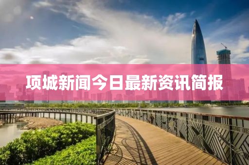 项城新闻今日最新资讯简报