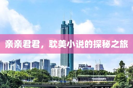亲亲君君，耽美小说的探秘之旅