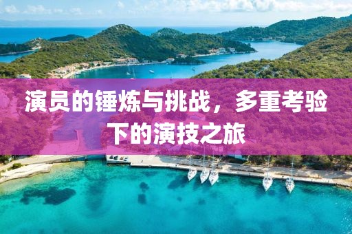 演员的锤炼与挑战，多重考验下的演技之旅