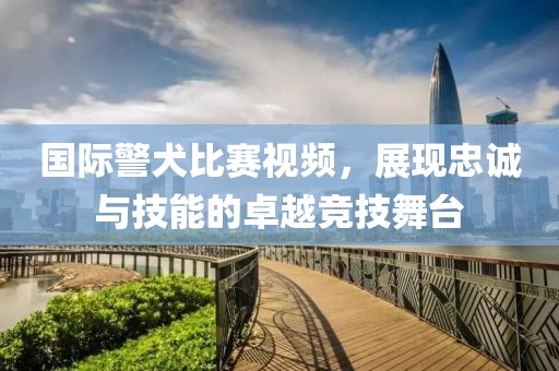 国际警犬比赛视频，展现忠诚与技能的卓越竞技舞台