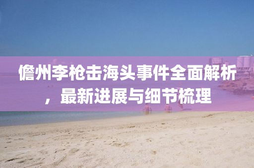 儋州李枪击海头事件全面解析，最新进展与细节梳理