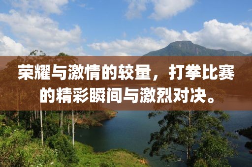 荣耀与激情的较量，打拳比赛的精彩瞬间与激烈对决。