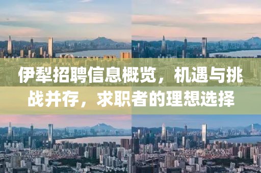 伊犁招聘信息概览，机遇与挑战并存，求职者的理想选择