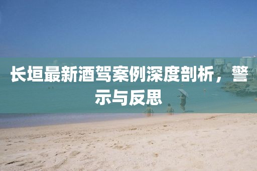 长垣最新酒驾案例深度剖析，警示与反思