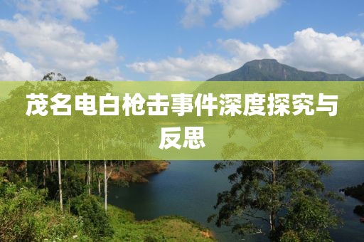 茂名电白枪击事件深度探究与反思