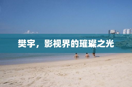 樊宇，影视界的璀璨之光
