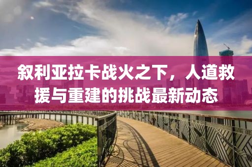 叙利亚拉卡战火之下，人道救援与重建的挑战最新动态