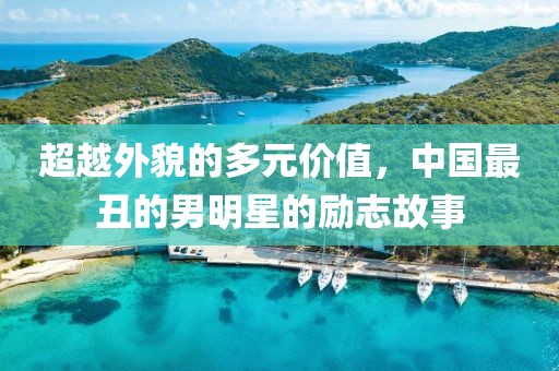 超越外貌的多元价值，中国最丑的男明星的励志故事