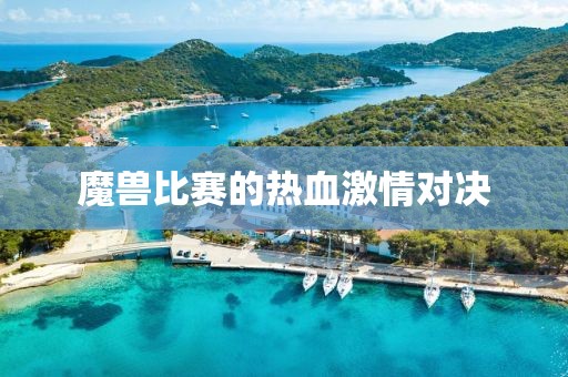 魔兽比赛的热血激情对决