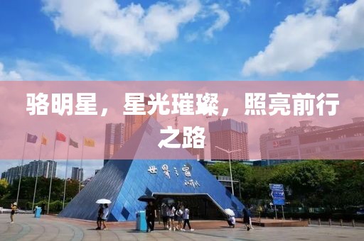 骆明星，星光璀璨，照亮前行之路