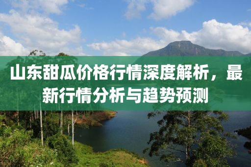 山东甜瓜价格行情深度解析，最新行情分析与趋势预测