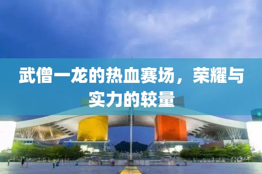 武僧一龙的热血赛场，荣耀与实力的较量