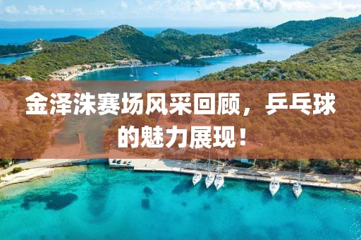 金泽洙赛场风采回顾，乒乓球的魅力展现！