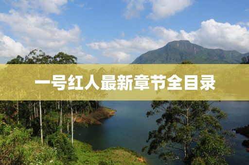 一号红人最新章节全目录