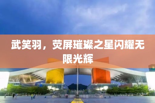 武笑羽，荧屏璀璨之星闪耀无限光辉