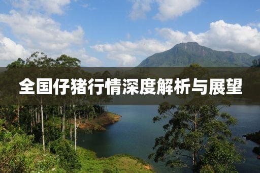 全国仔猪行情深度解析与展望
