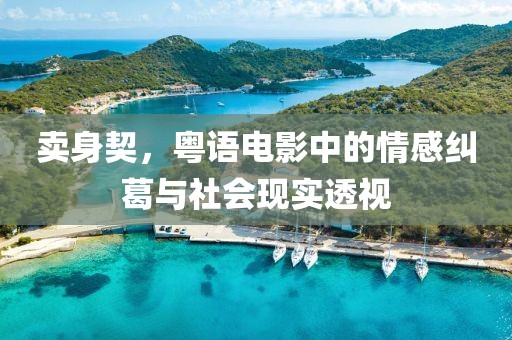 卖身契，粤语电影中的情感纠葛与社会现实透视