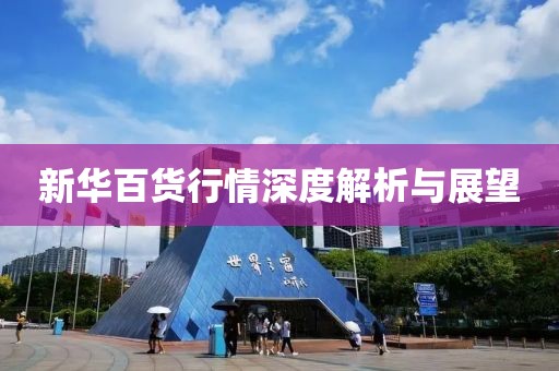 新华百货行情深度解析与展望