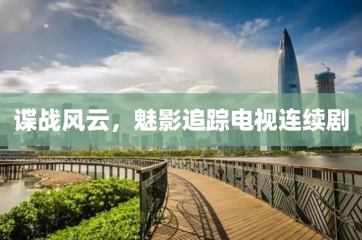 谍战风云，魅影追踪电视连续剧