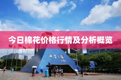 今日棉花价格行情及分析概览