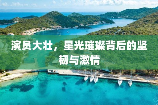 演员大壮，星光璀璨背后的坚韧与激情