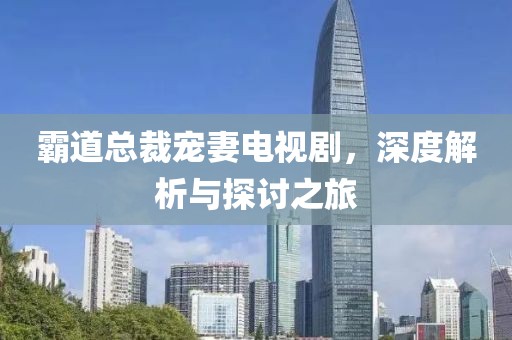 霸道总裁宠妻电视剧，深度解析与探讨之旅