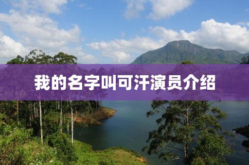 我的名字叫可汗演员介绍