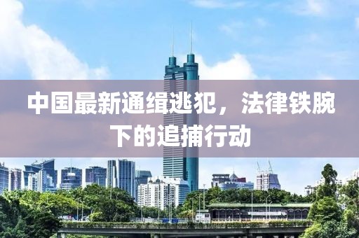中国最新通缉逃犯，法律铁腕下的追捕行动