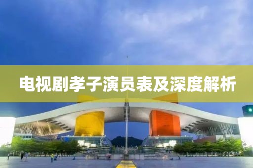 电视剧孝子演员表及深度解析
