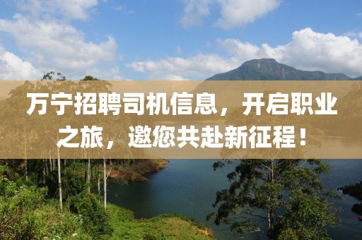 万宁招聘司机信息，开启职业之旅，邀您共赴新征程！