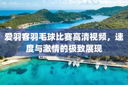 爱羽客羽毛球比赛高清视频，速度与激情的极致展现