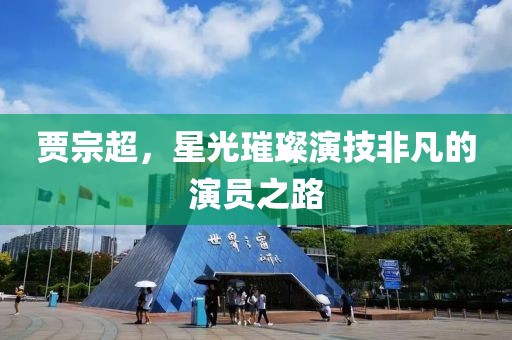 贾宗超，星光璀璨演技非凡的演员之路