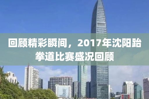 回顾精彩瞬间，2017年沈阳跆拳道比赛盛况回顾